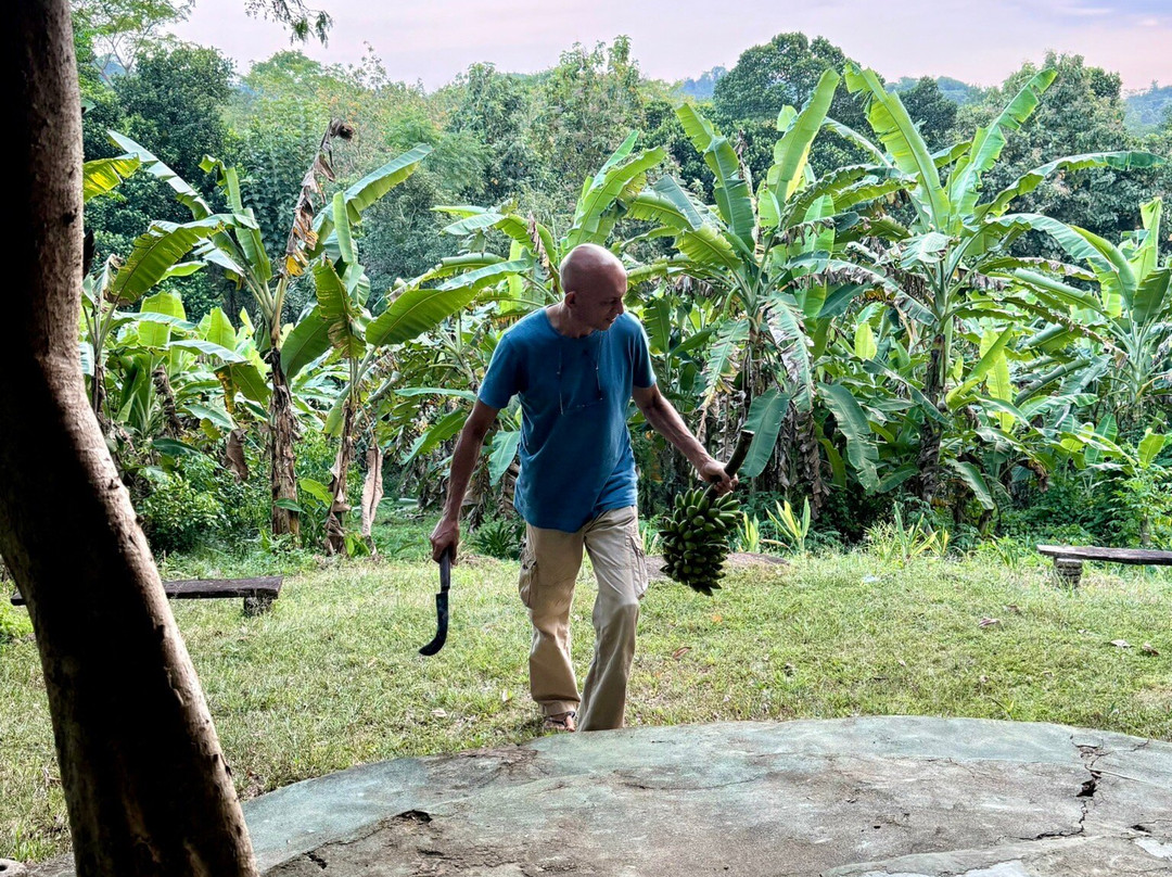 Ashram Sri Lanka-唐卡拉必去景点