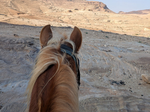 Lost in Petra-佩特拉必去景点