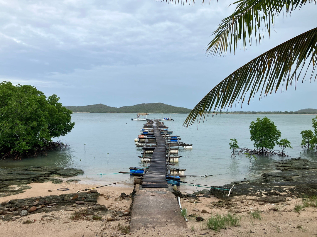 Roko Island, Cape York-Roko Island必去景点
