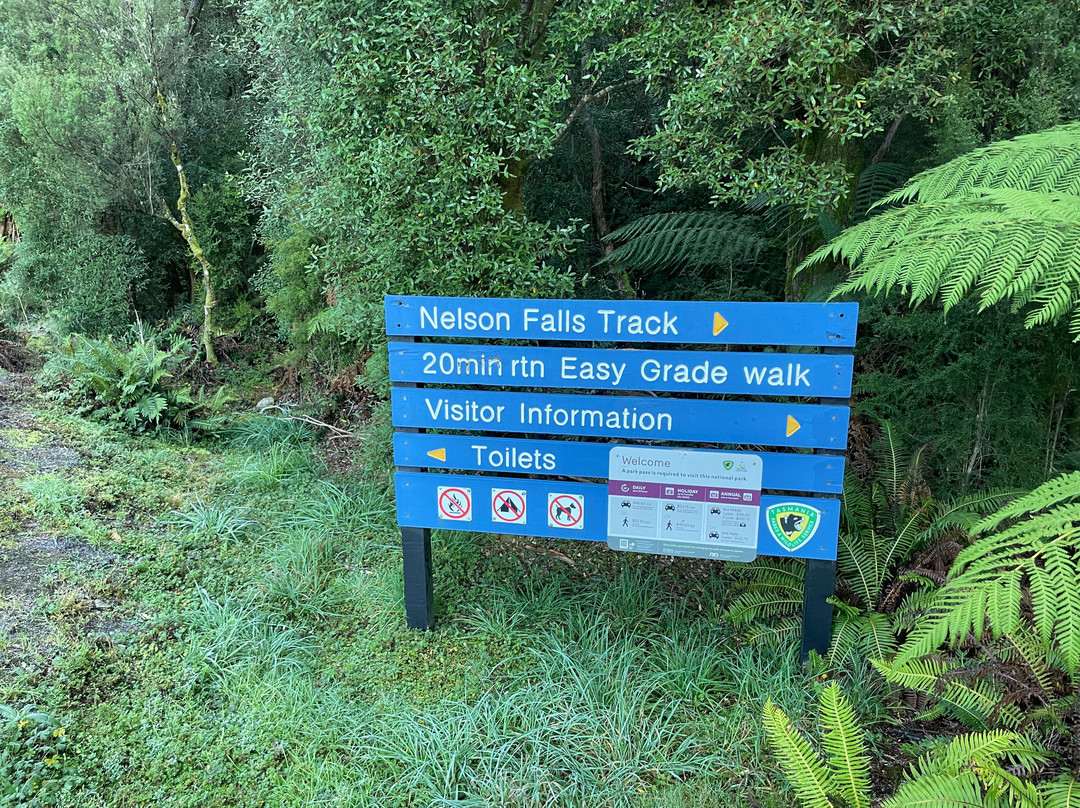 Nelson Falls-皇后镇必去景点