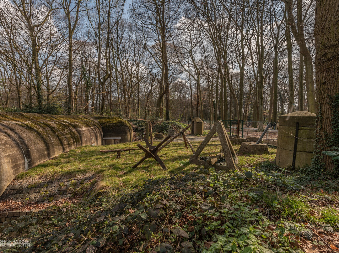 Bunkermuseum Antwerpen-安特卫普必去景点