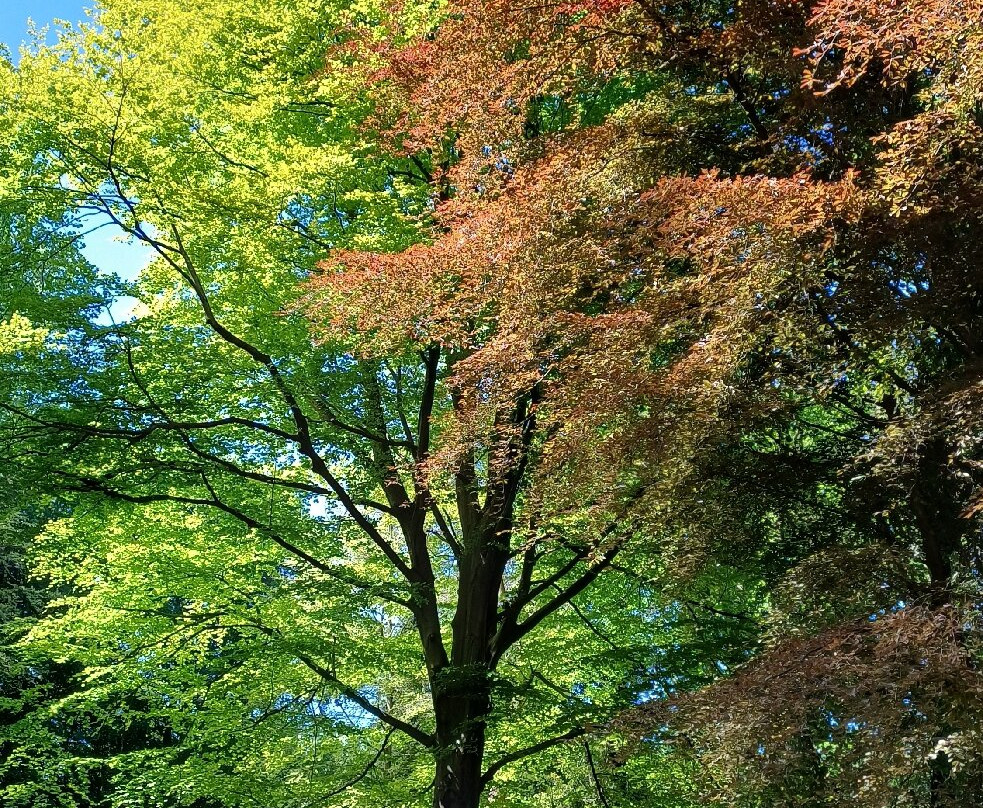 Thorp Perrow-Bedale必去景点