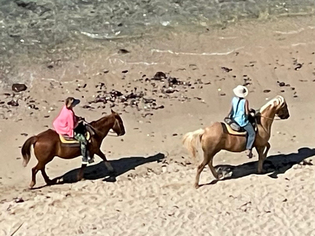 Playa Blanca Condo Hotel主图