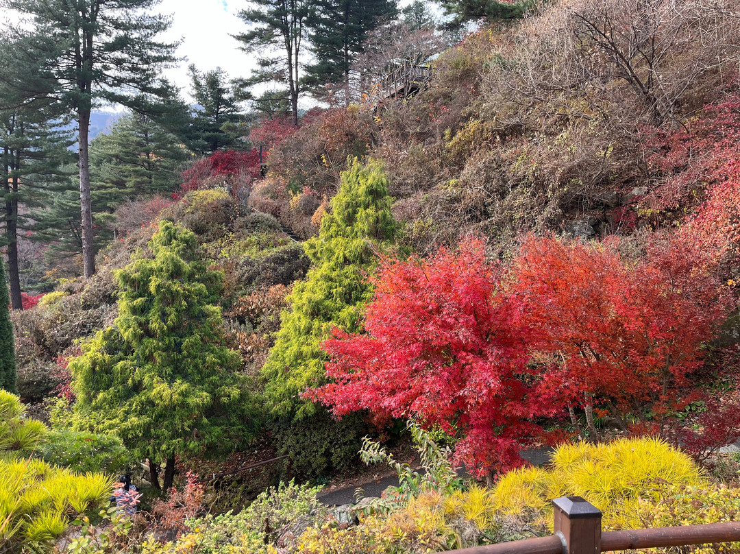 The Garden of Morning Calm-加平郡必去景点