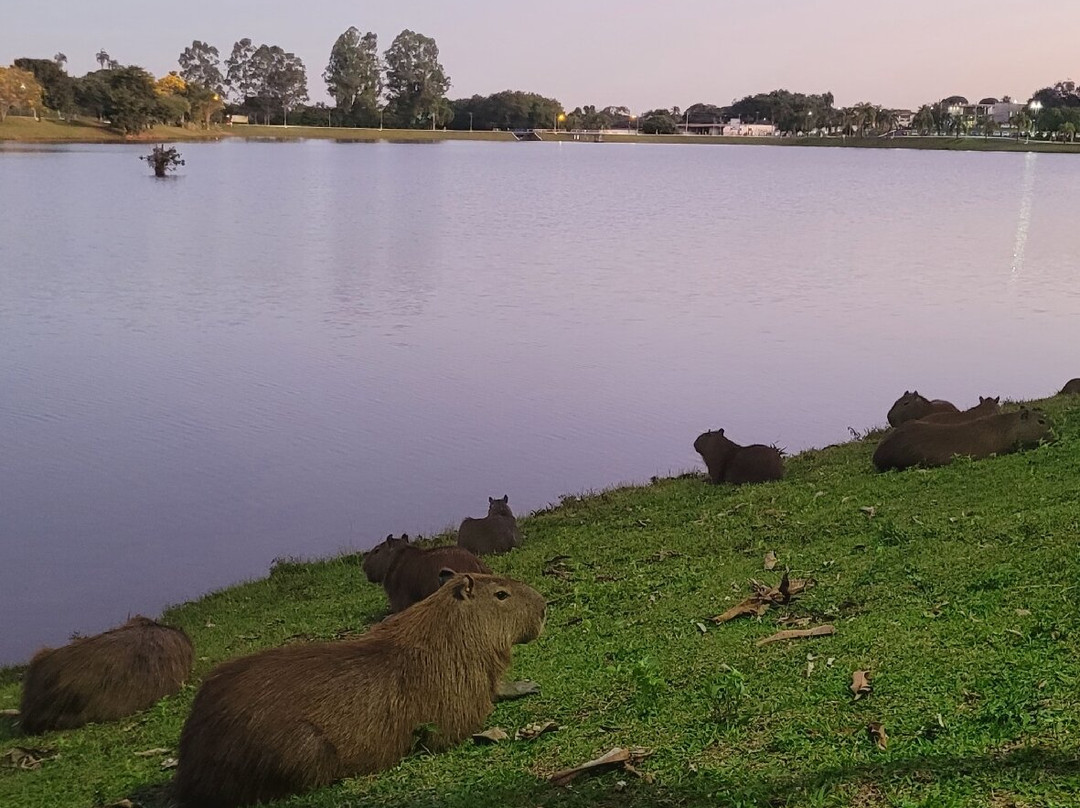 Parque Lago Municipal Recanto das Araras景点图片
