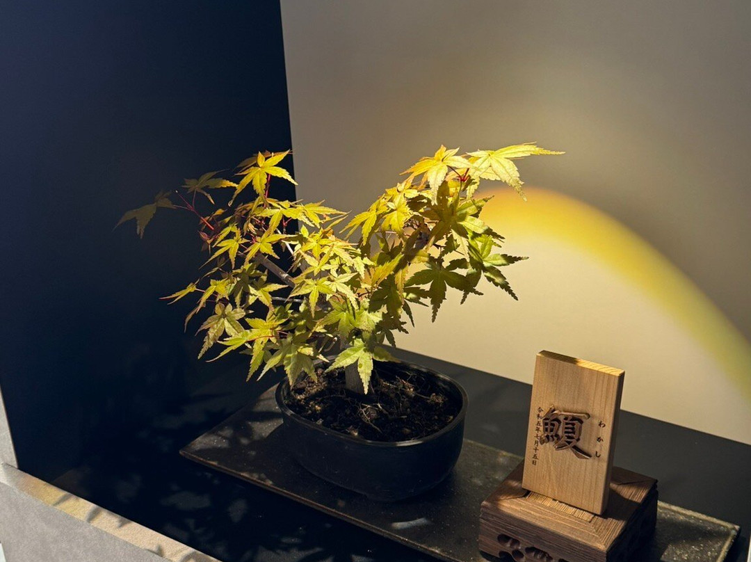 Awajitai Kuu