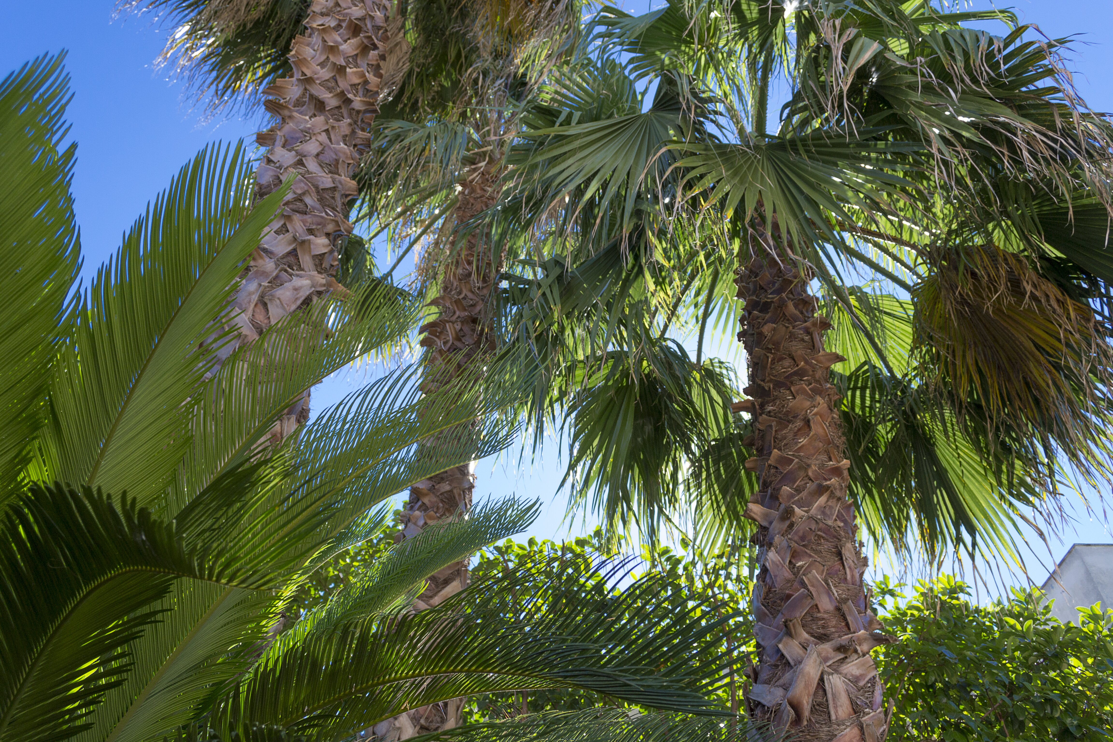 Villa Lazzari B&B Tra i Due Mari-官方