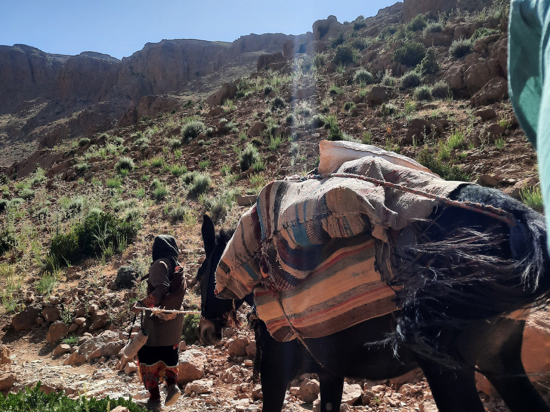 Discover Todra Gorge with Locals - Tourist Information & Experience Center景点图片