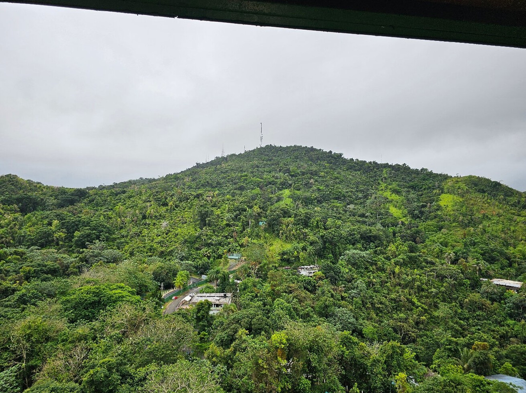 Parque Forestal La Marquesa景点图片
