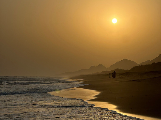 Mangrove Forest in Chabahar-Chabahar必去景点
