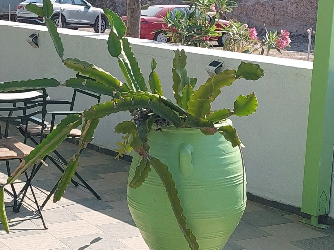 Hotel Liogerma主图