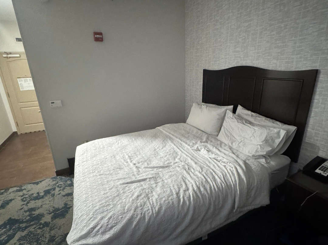 Hampton Inn & Suites Hope主图