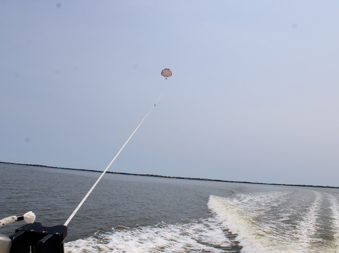Duck Parasail景点图片