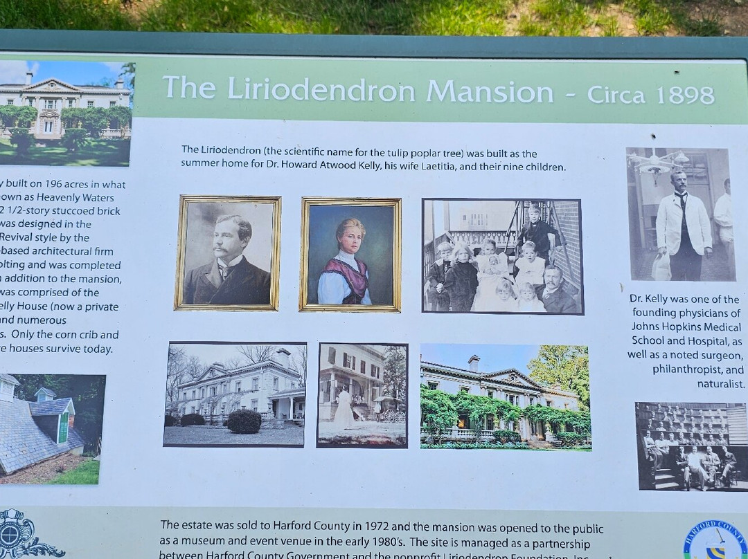 Liriodendron Mansion景点图片