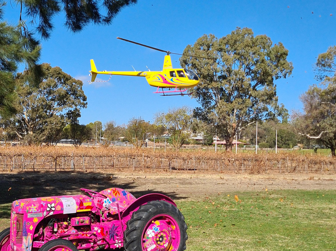 Kies Family Wines-林道必去景点