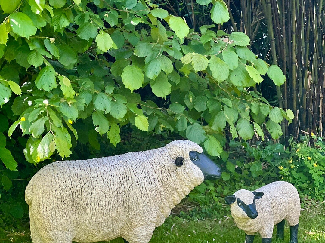 Chambres en Vigne主图