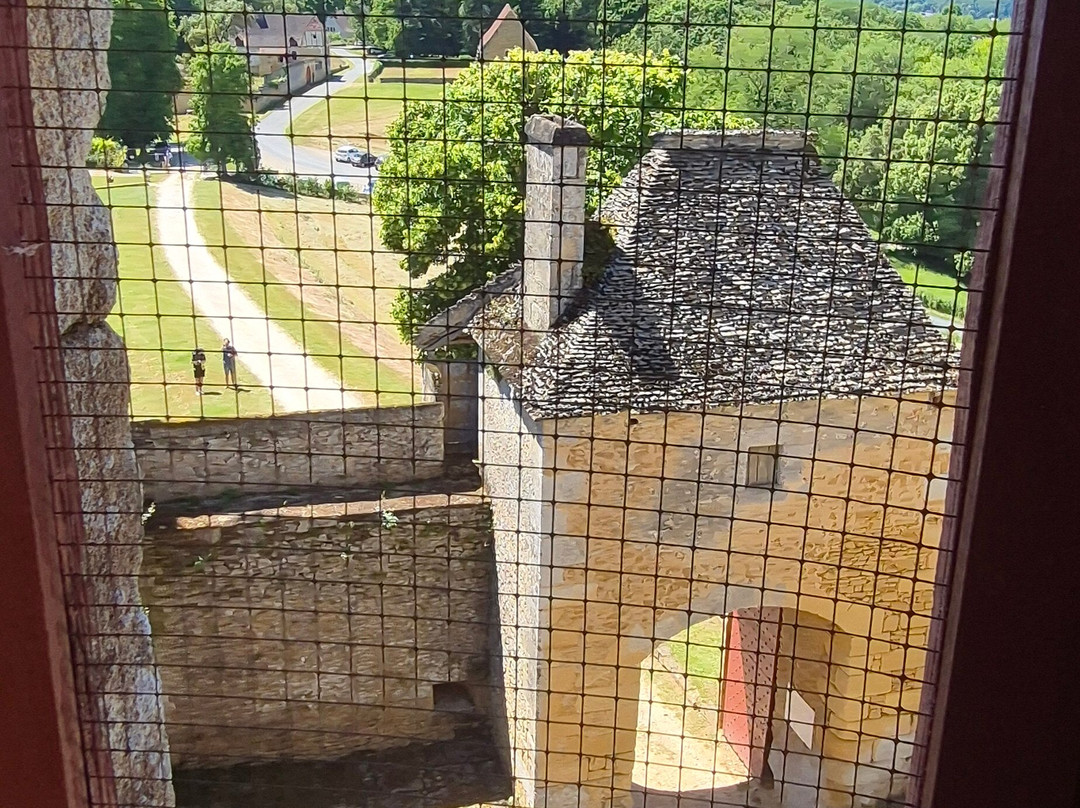 Le Chateau de Fenelon景点图片