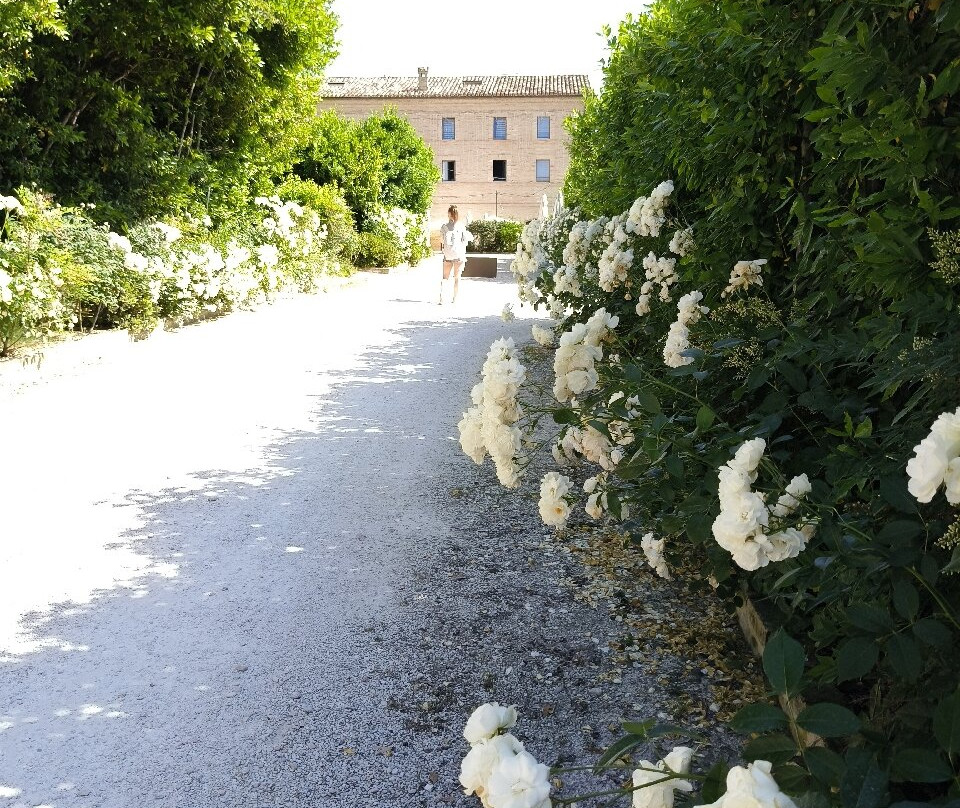 Villa Anitori Prestige Relais & Spa主图