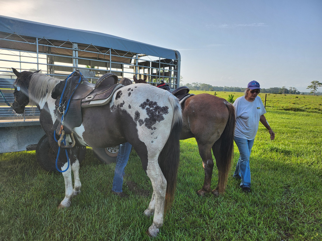 Wagon Wheel Horse Farm-奥基乔比必去景点