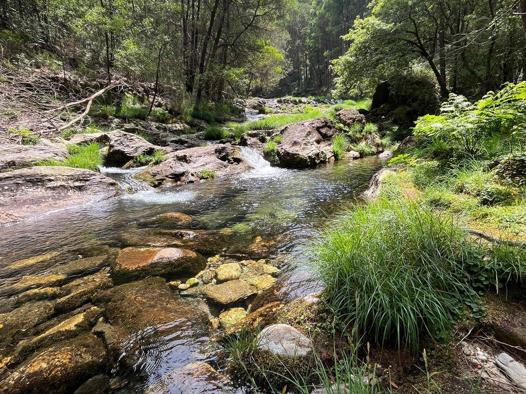 Cascata Do Pincho景点图片