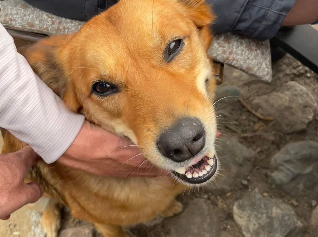 LifePlan Kajak & Friluftsliv-斯文堡必去景点