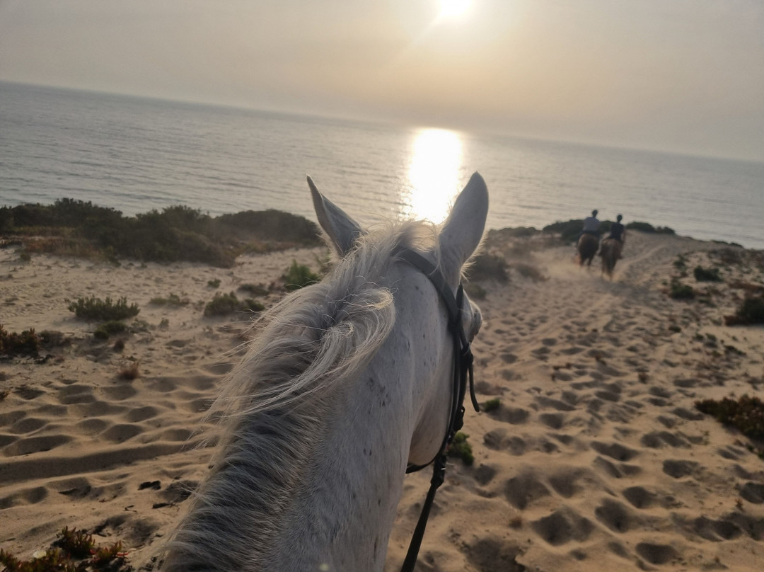 Cavalos Na Praia Do Meco - Lits Horses-Aldeia do Meco必去景点