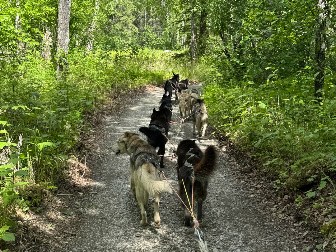Iditarod Headquarters景点图片