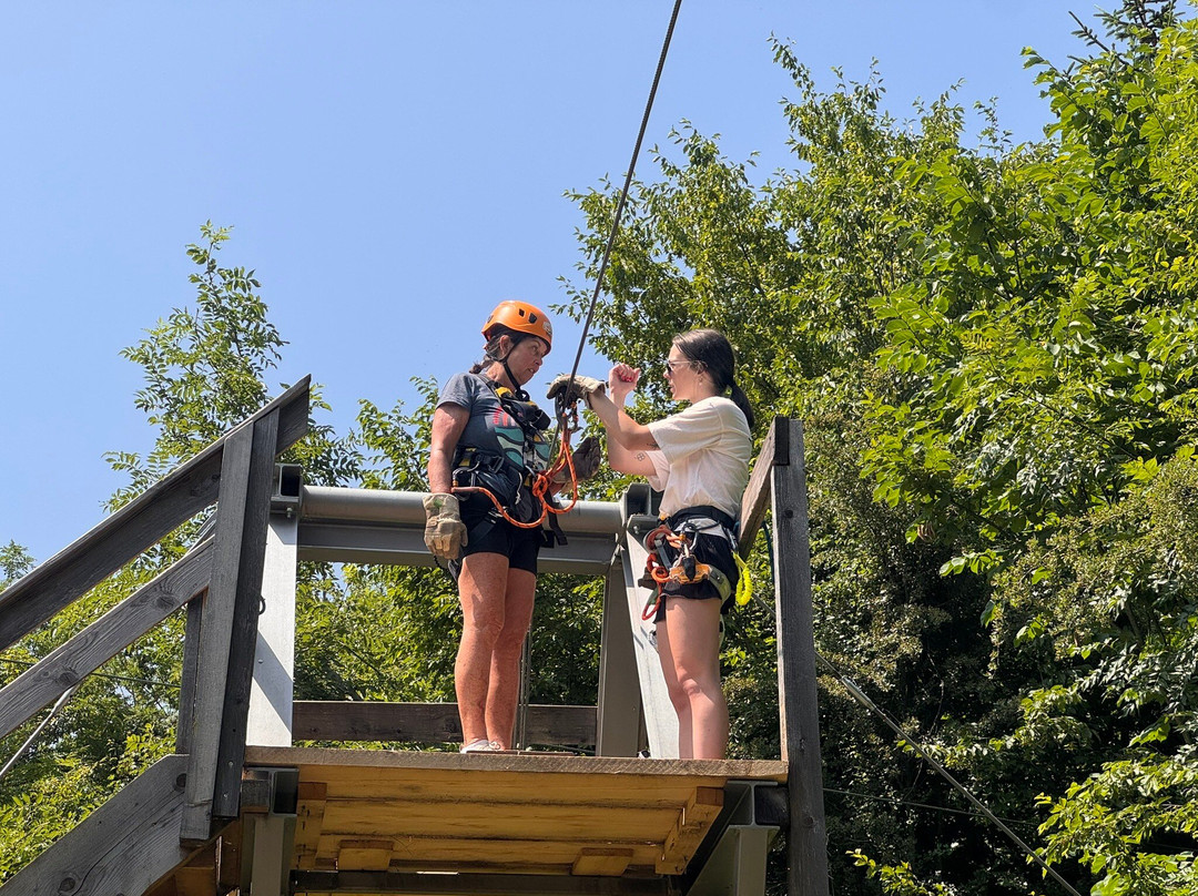 Zipline Dolinka景点图片