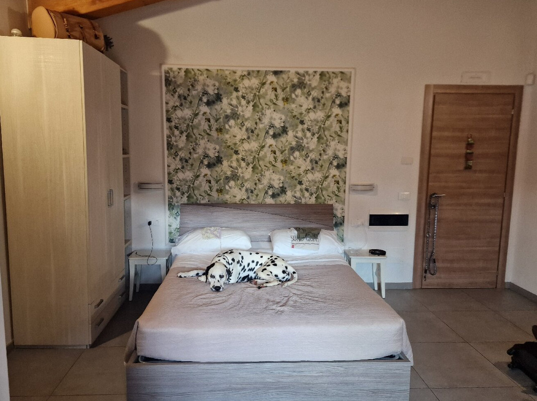 B&B Valle dei Mulini主图
