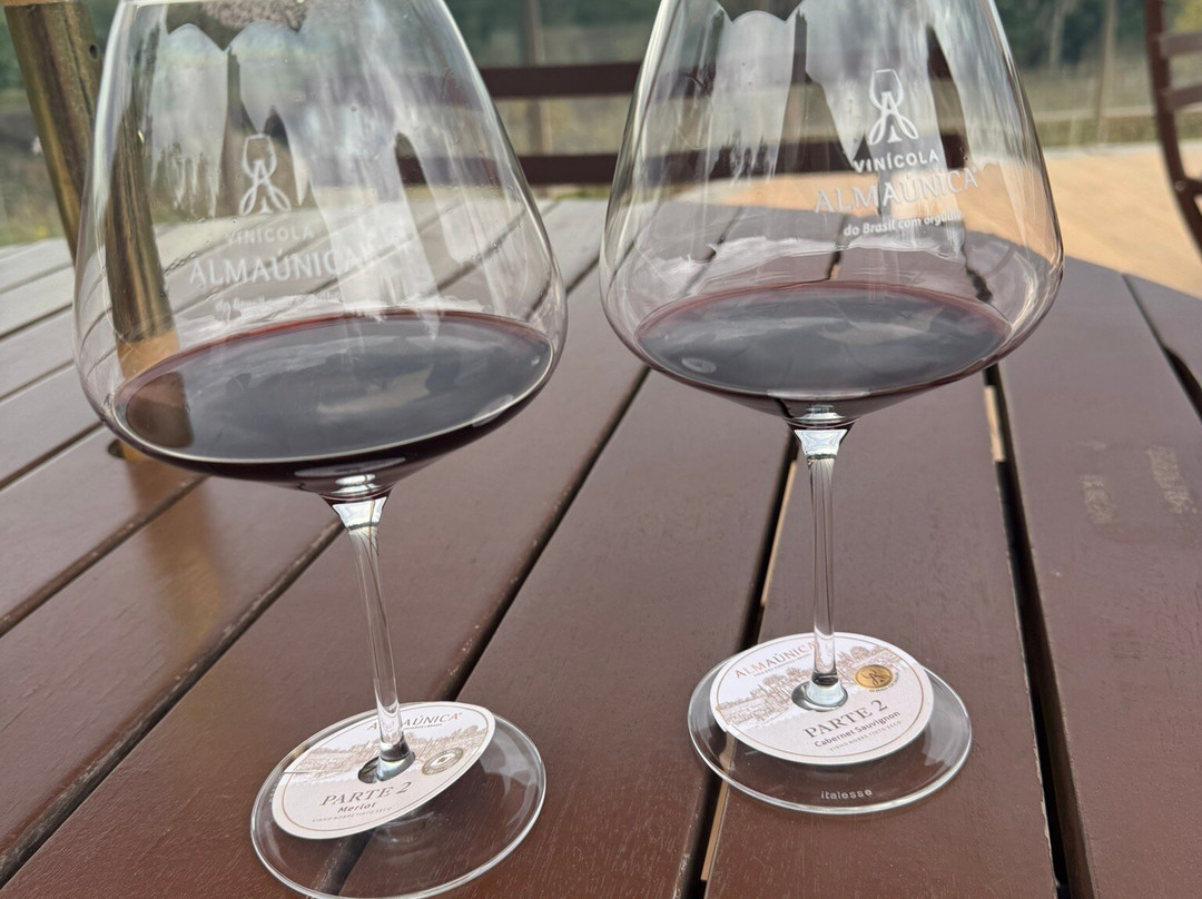 Almaunica Winerie景点图片