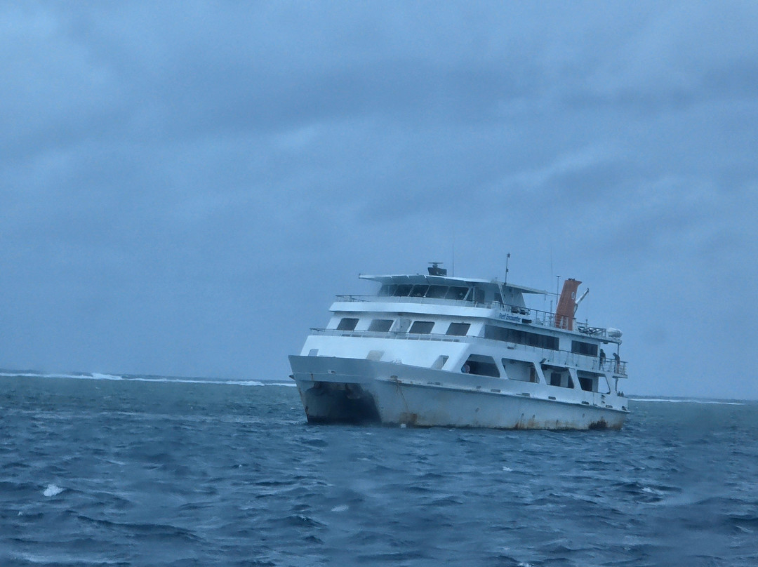 Reef Encounter-凯恩斯必去景点