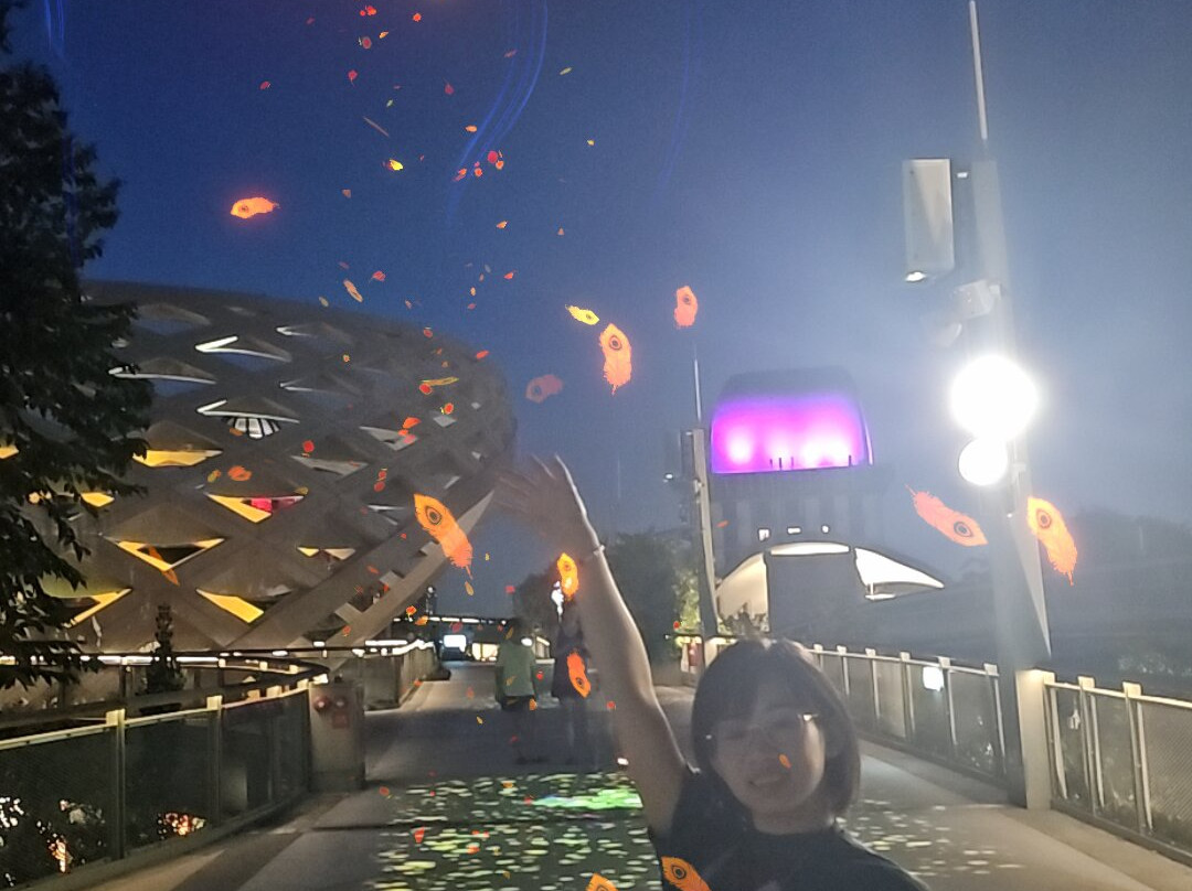Sentosa SensoryScape-新加坡必去景点