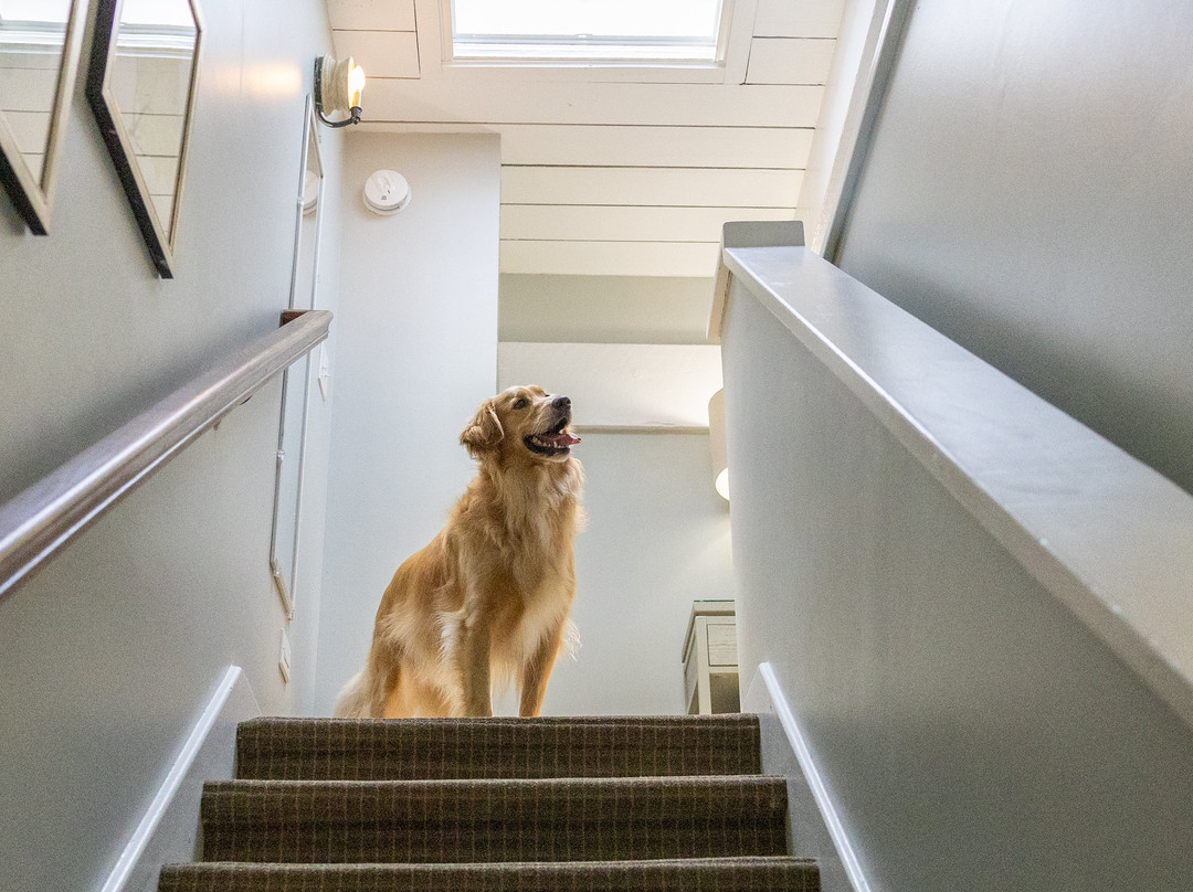 Olde Harbour Inn主图