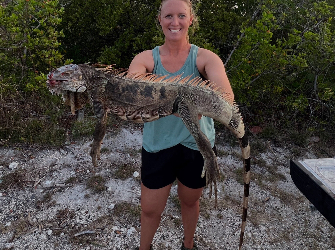 Invasive EnVogue-Ramrod Key必去景点