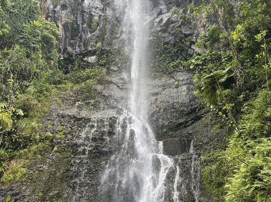 Local Maui Tours-芭雅必去景点