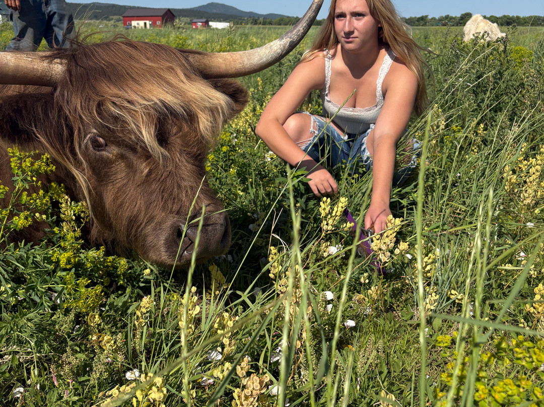 Black Hills Highlands-Spearfish必去景点