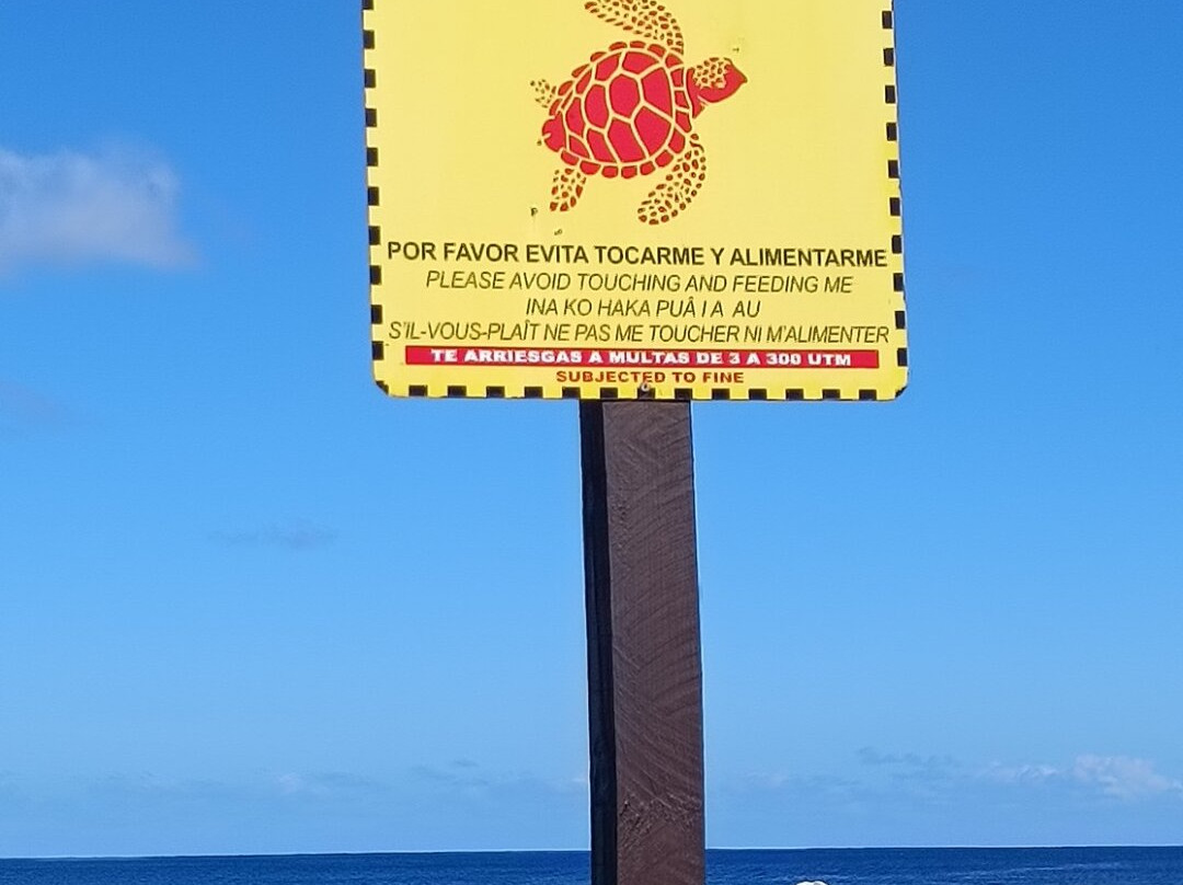 Playa Pea-安加罗阿必去景点