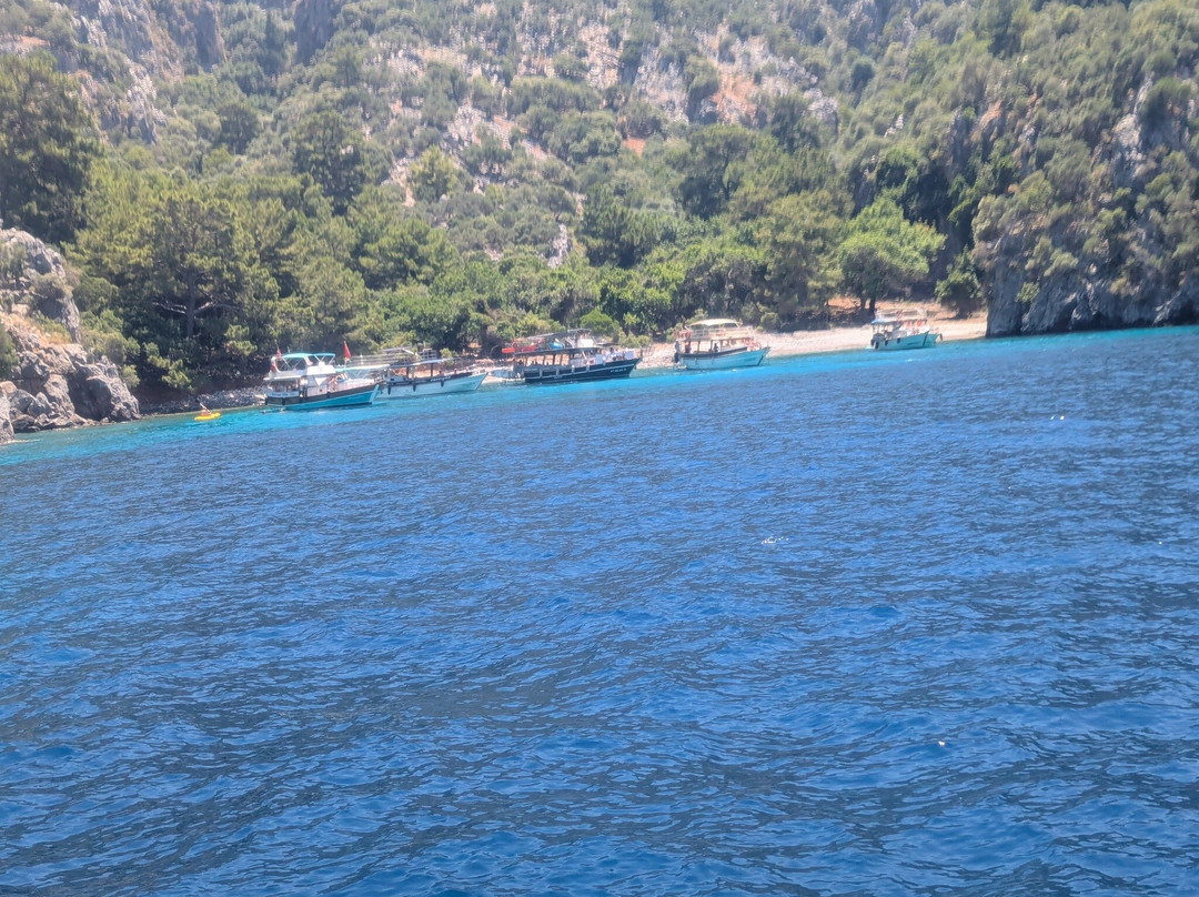 Kingfisher 1 Boat Tours-穆拉必去景点