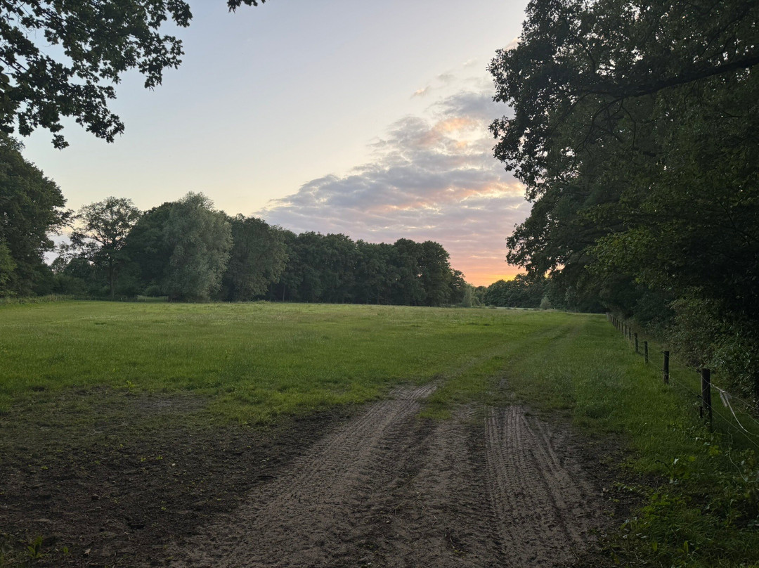 Landgoed De Hoevens