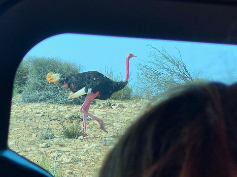 Tazwit tours-阿加迪尔必去景点