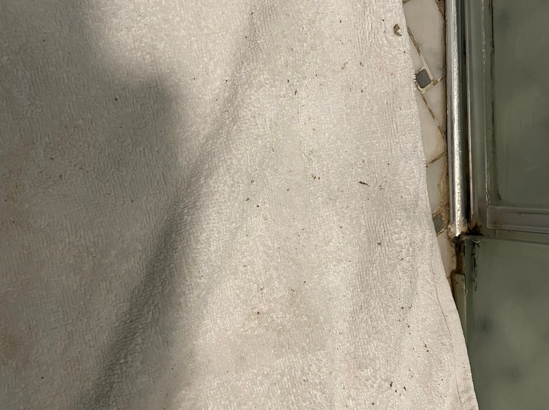 The Nest on Newcastle主图