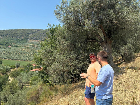 Olive Oil & Vineyard Tour Berat-培拉特必去景点