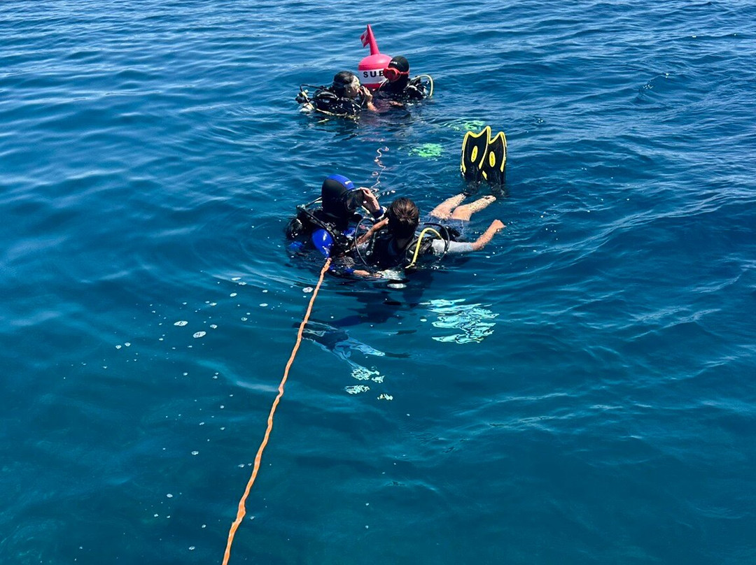 Diving Center Pongo-普莫斯特必去景点