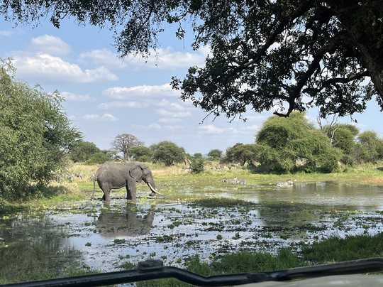 Global Experience-阿鲁沙必去景点
