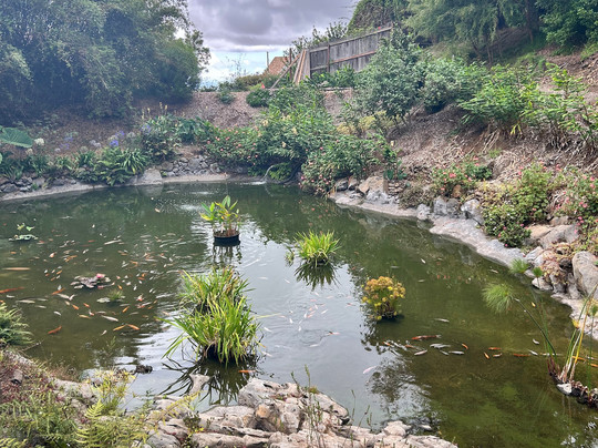 Stardust Hawaii-拉海纳必去景点