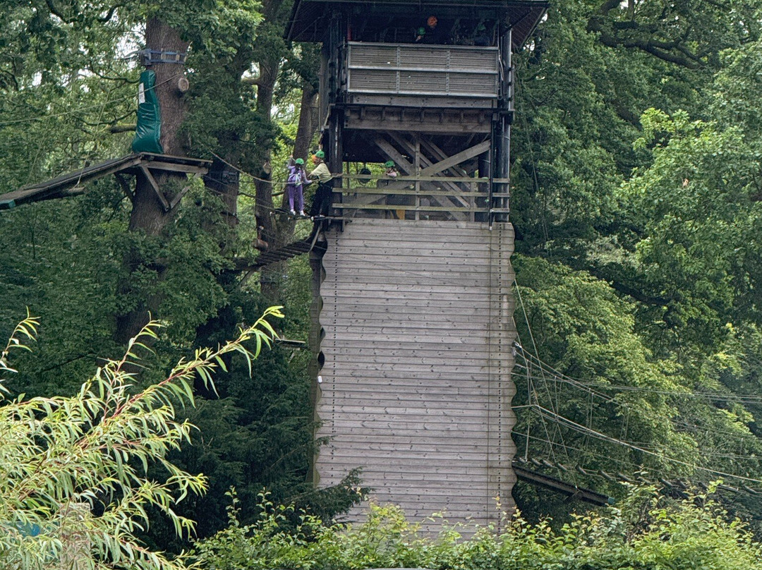 湖区丛林穿越-温德米尔必去景点