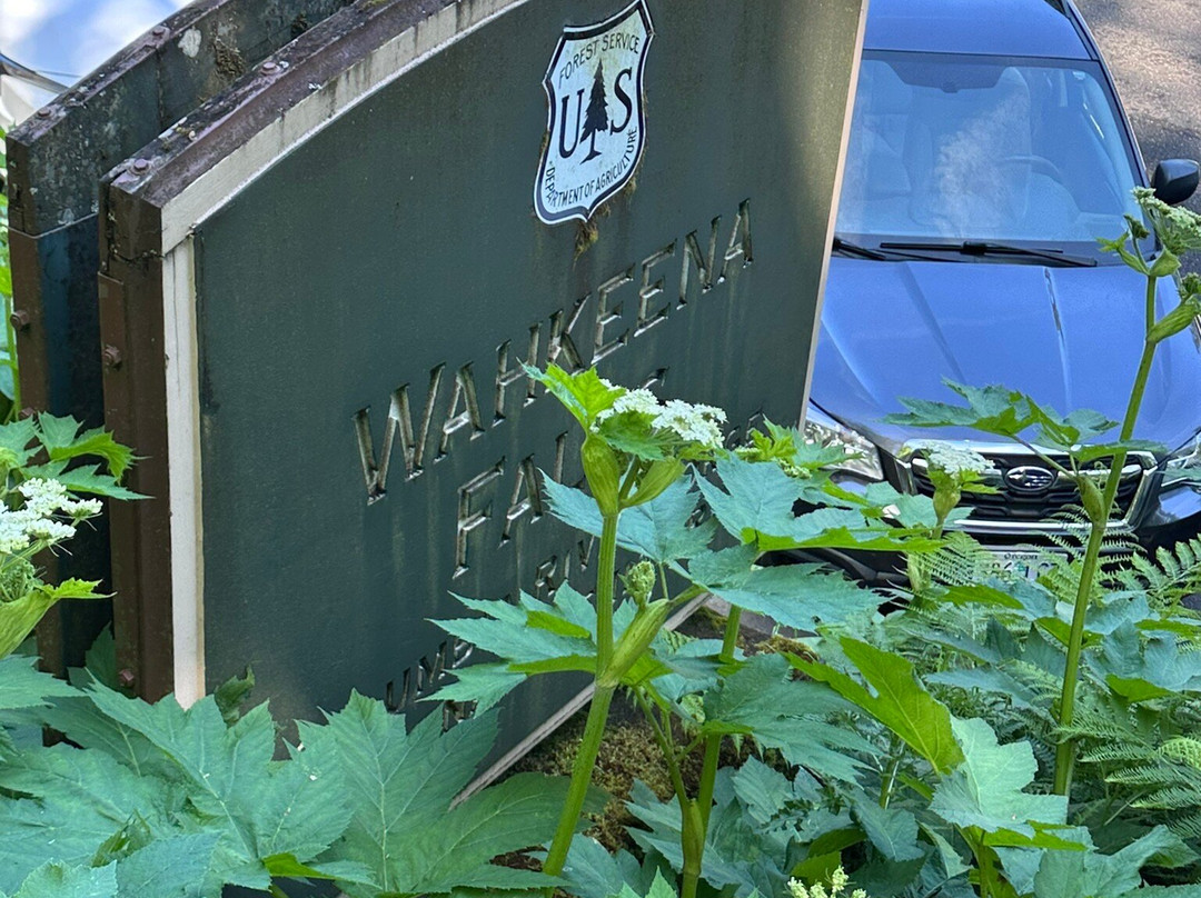 Wahkeena Falls-劳特代尔必去景点