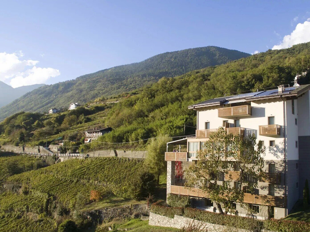 Wine Hotel Retici Balzi主图