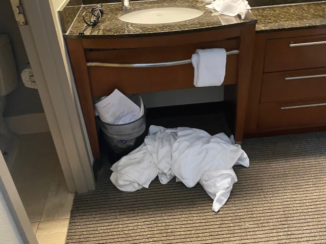 达拉斯/北阿灵顿/大草原凯悦嘉轩酒店主图