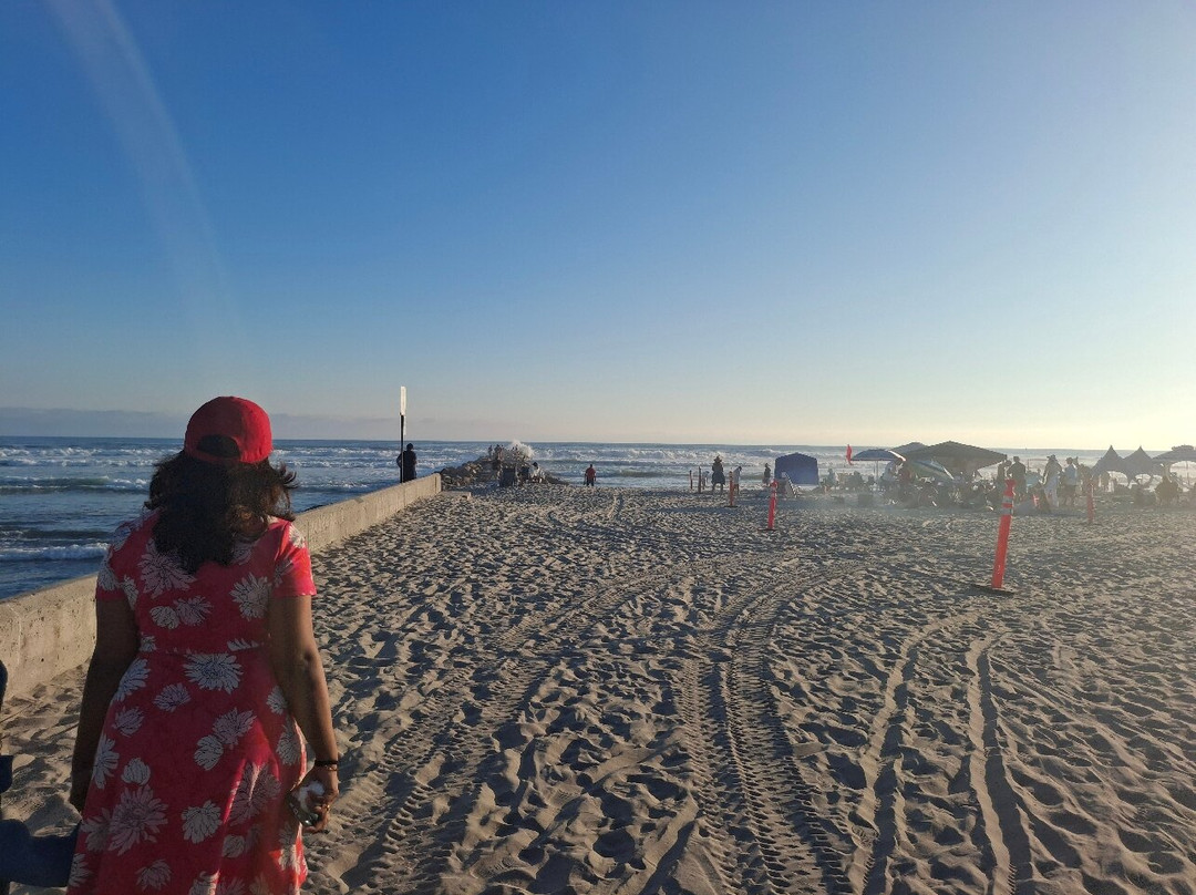 Harbor Beach-欧申赛德必去景点